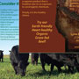 Lynn Brakke Organic Beef Brochure