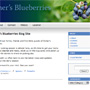 Eicher's Blueberries